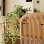 Santos & Apartment *