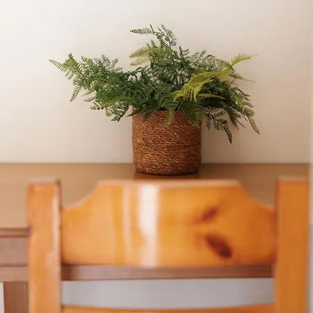 Santos & Apartment *